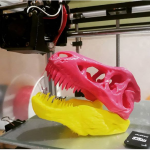 Crânio de dinossauro impresso em 3D em cima de mesa