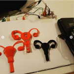 3 aparelhos reprodutores femininos recém impressos postos em mesa ao lado de impressora