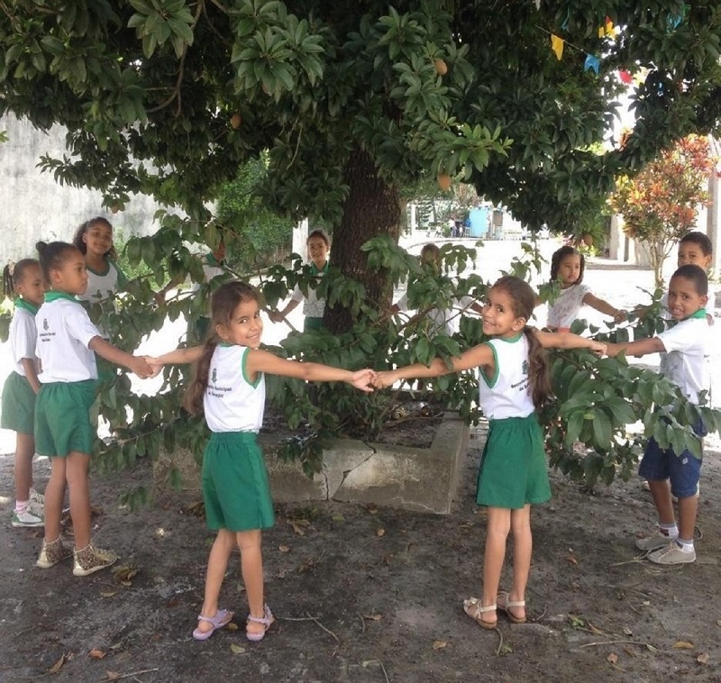 Estudantes uniformizados estão de mãos dadas, formando uma roda em torno de uma árvore. Fim da descrição. 