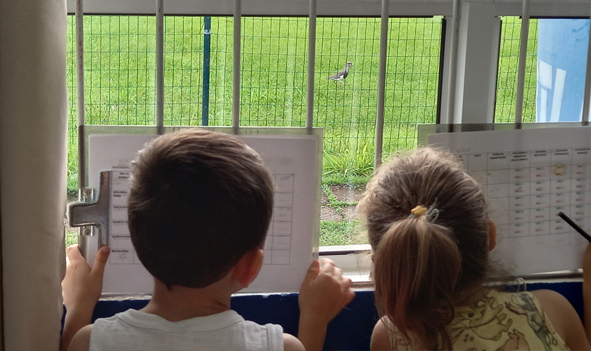 Em sala de aula, um menino e uma menina observam pela janela um Quero-quero, que está em uma área verde do lado de fora. Ambos seguram papéis com tabelas. Fim da descrição.