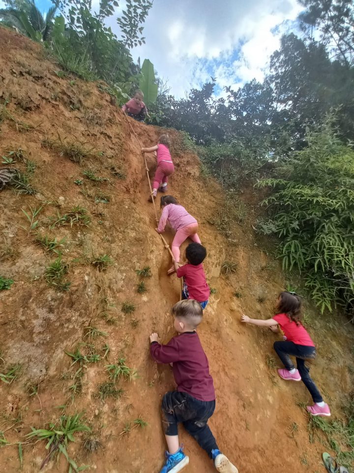 6 crianças estão escalando um barranco. Fim da descrição