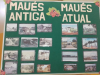 mausantes-e-depois