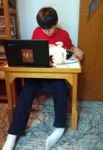 Jovem de cabelos escuros, camiseta vermelha e calça azul está sentado diante de uma pequena mesa de madeira. Sobre a mesa há um notebook aberto, cadernos e um gato branco com manchas pretas. O jovem olha para os materiais enquanto toca o gato.